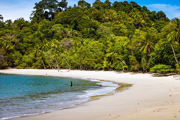CRI PUN ManuelAntonio 2019MAY16 PNMA 027