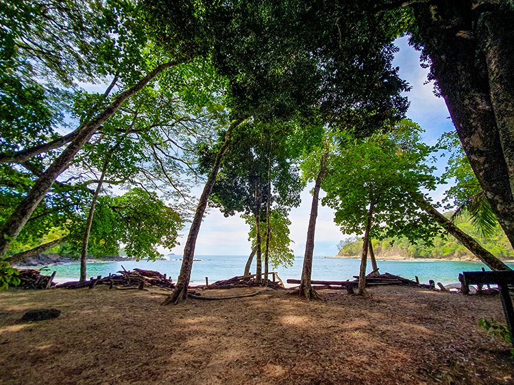 CRI PUN ManuelAntonio 2019MAY16 PNMA 033