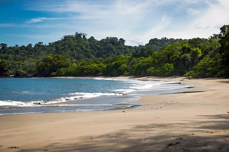 CRI PUN ManuelAntonio 2019MAY16 PNMA 040