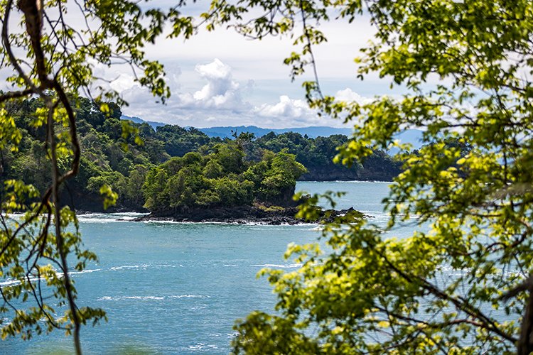 CRI PUN ManuelAntonio 2019MAY16 PNMA 055