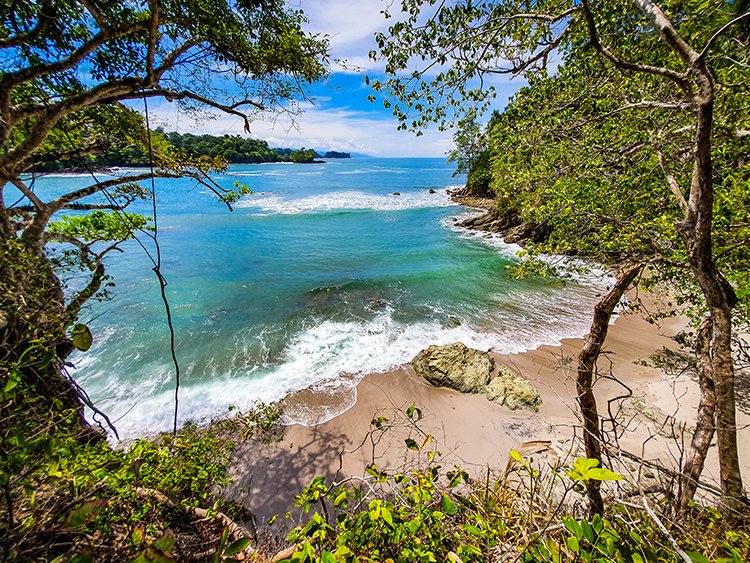 CRI PUN ManuelAntonio 2019MAY16 PNMA 058