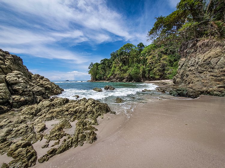 CRI PUN ManuelAntonio 2019MAY16 PNMA 059