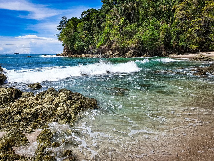CRI PUN ManuelAntonio 2019MAY16 PNMA 060