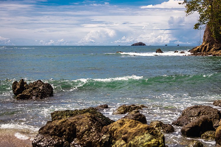 CRI PUN ManuelAntonio 2019MAY16 PNMA 061