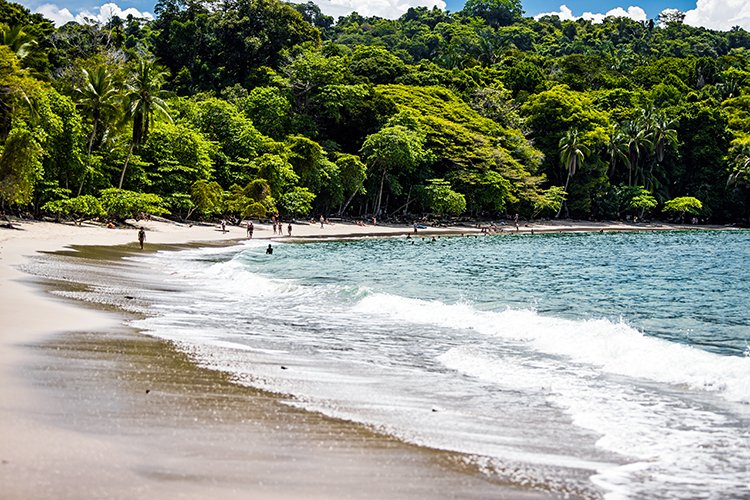 CRI PUN ManuelAntonio 2019MAY16 PNMA 062