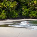 CRI PUN ManuelAntonio 2019MAY16 PNMA 044 : - DATE, - PLACES, - TRIPS, 10's, 2019, 2019 - Taco's & Toucan's, Americas, Central America, Costa Rica, Day, Manuel Antonio, May, Month, Parque Nacional Manuel Antonio, Puntarenas, Thursday, Year