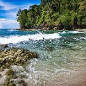 CRI PUN ManuelAntonio 2019MAY16 PNMA 060 : - DATE, - PLACES, - TRIPS, 10's, 2019, 2019 - Taco's & Toucan's, Americas, Central America, Costa Rica, Day, Manuel Antonio, May, Month, Parque Nacional Manuel Antonio, Puntarenas, Thursday, Year