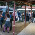 CRI PUN Monteverde 2019MAY13 Kinkajou 002 : - DATE, - PLACES, - TRIPS, 10's, 2019, 2019 - Taco's & Toucan's, Americas, Central America, Costa Rica, Day, Kinkajou Night Walk, May, Monday, Monteverde, Month, Puntarenas, Year