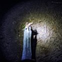 CRI PUN Monteverde 2019MAY13 Kinkajou 009 : - DATE, - PLACES, - TRIPS, 10's, 2019, 2019 - Taco's & Toucan's, Americas, Central America, Costa Rica, Day, Kinkajou Night Walk, May, Monday, Monteverde, Month, Puntarenas, Year