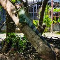 CRI PUN Quepos 2019MAY15 005 : - DATE, - PLACES, - TRIPS, 10's, 2019, 2019 - Taco's & Toucan's, Americas, Central America, Costa Rica, Day, May, Month, Puntarenas, Quepos, Wednesday, Year