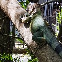CRI PUN Quepos 2019MAY15 006 : - DATE, - PLACES, - TRIPS, 10's, 2019, 2019 - Taco's & Toucan's, Americas, Central America, Costa Rica, Day, May, Month, Puntarenas, Quepos, Wednesday, Year
