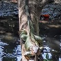 CRI PUN Quepos 2019MAY15 008 : - DATE, - PLACES, - TRIPS, 10's, 2019, 2019 - Taco's & Toucan's, Americas, Central America, Costa Rica, Day, May, Month, Puntarenas, Quepos, Wednesday, Year