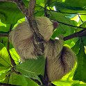 CRI PUN Quepos 2019MAY15 012 : - DATE, - PLACES, - TRIPS, 10's, 2019, 2019 - Taco's & Toucan's, Americas, Central America, Costa Rica, Day, May, Month, Puntarenas, Quepos, Wednesday, Year