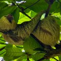 CRI PUN Quepos 2019MAY15 015 : - DATE, - PLACES, - TRIPS, 10's, 2019, 2019 - Taco's & Toucan's, Americas, Central America, Costa Rica, Day, May, Month, Puntarenas, Quepos, Wednesday, Year