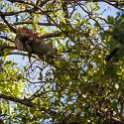 CRI PUN Quepos 2019MAY16 003 : - DATE, - PLACES, - TRIPS, 10's, 2019, 2019 - Taco's & Toucan's, Americas, Central America, Costa Rica, Day, May, Month, Puntarenas, Quepos, Thursday, Year