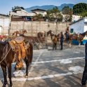 GTM ES Amatitlan 2019APR29 VolcanDePacaya 003 : - DATE, - PLACES, - TRIPS, 10's, 2019, 2019 - Taco's & Toucan's, Amatitlán, Americas, April, Central America, Day, Escuintla, Guatemala, Monday, Month, Region V - Central, Volcán de Pacaya, Year
