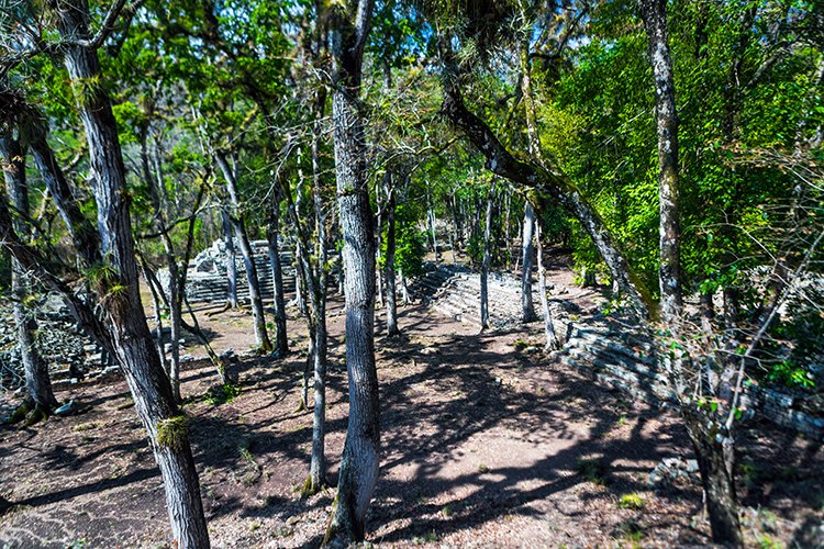 HND COP LasRuinasDeCopan 2019MAY06 Ruins 032