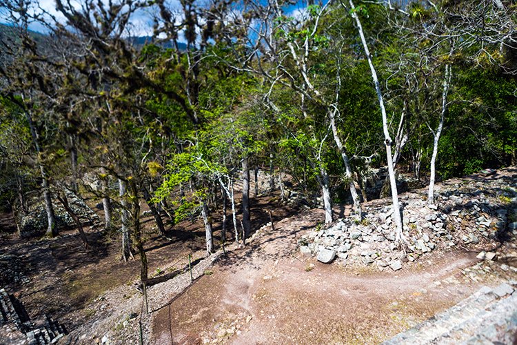 HND COP LasRuinasDeCopan 2019MAY06 Ruins 035