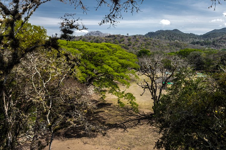 HND COP LasRuinasDeCopan 2019MAY06 Ruins 061