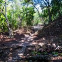 HND COP LasRuinasDeCopan 2019MAY06 Ruins 015 : - DATE, - PLACES, - TRIPS, 10's, 2019, 2019 - Taco's & Toucan's, Americas, Central America, Copán, Copán Ruinas, Day, Honduras, Las Ruinas De Copán, May, Maya Site of Copán, Monday, Month, Year