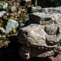 HND COP LasRuinasDeCopan 2019MAY06 Ruins 018 : - DATE, - PLACES, - TRIPS, 10's, 2019, 2019 - Taco's & Toucan's, Americas, Central America, Copán, Copán Ruinas, Day, Honduras, Las Ruinas De Copán, May, Maya Site of Copán, Monday, Month, Year