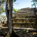 HND COP LasRuinasDeCopan 2019MAY06 Ruins 027 : - DATE, - PLACES, - TRIPS, 10's, 2019, 2019 - Taco's & Toucan's, Americas, Central America, Copán, Copán Ruinas, Day, Honduras, Las Ruinas De Copán, May, Maya Site of Copán, Monday, Month, Year