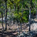 HND COP LasRuinasDeCopan 2019MAY06 Ruins 031 : - DATE, - PLACES, - TRIPS, 10's, 2019, 2019 - Taco's & Toucan's, Americas, Central America, Copán, Copán Ruinas, Day, Honduras, Las Ruinas De Copán, May, Maya Site of Copán, Monday, Month, Year