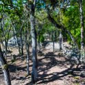 HND COP LasRuinasDeCopan 2019MAY06 Ruins 032 : - DATE, - PLACES, - TRIPS, 10's, 2019, 2019 - Taco's & Toucan's, Americas, Central America, Copán, Copán Ruinas, Day, Honduras, Las Ruinas De Copán, May, Maya Site of Copán, Monday, Month, Year