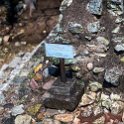 HND COP LasRuinasDeCopan 2019MAY06 Ruins 037 : - DATE, - PLACES, - TRIPS, 10's, 2019, 2019 - Taco's & Toucan's, Americas, Central America, Copán, Copán Ruinas, Day, Honduras, Las Ruinas De Copán, May, Maya Site of Copán, Monday, Month, Year