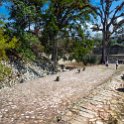 HND_COP_LasRuinasDeCopan_2019MAY06_Ruins_038.jpg