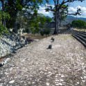 HND COP LasRuinasDeCopan 2019MAY06 Ruins 041 : - DATE, - PLACES, - TRIPS, 10's, 2019, 2019 - Taco's & Toucan's, Americas, Central America, Copán, Copán Ruinas, Day, Honduras, Las Ruinas De Copán, May, Maya Site of Copán, Monday, Month, Year
