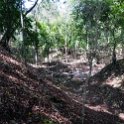 HND COP LasRuinasDeCopan 2019MAY06 Ruins 066 : - DATE, - PLACES, - TRIPS, 10's, 2019, 2019 - Taco's & Toucan's, Americas, Central America, Copán, Copán Ruinas, Day, Honduras, Las Ruinas De Copán, May, Maya Site of Copán, Monday, Month, Year