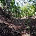 HND COP LasRuinasDeCopan 2019MAY06 Ruins 067 : - DATE, - PLACES, - TRIPS, 10's, 2019, 2019 - Taco's & Toucan's, Americas, Central America, Copán, Copán Ruinas, Day, Honduras, Las Ruinas De Copán, May, Maya Site of Copán, Monday, Month, Year