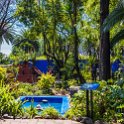 MEX CDMX Coyoacan 2019MAR29 FridaKahlo 024 : - DATE, - PLACES, - TRIPS, 10's, 2019, 2019 - Taco's & Toucan's, Americas, Central, Coyoacán, Day, Frida Kahlo Museum, Friday, March, Mexico, Mexico City, Month, North America, Year