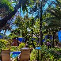 MEX CDMX Coyoacan 2019MAR29 FridaKahlo 025 : - DATE, - PLACES, - TRIPS, 10's, 2019, 2019 - Taco's & Toucan's, Americas, Central, Coyoacán, Day, Frida Kahlo Museum, Friday, March, Mexico, Mexico City, Month, North America, Year