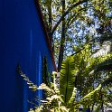 MEX CDMX Coyoacan 2019MAR29 FridaKahlo 026 : - DATE, - PLACES, - TRIPS, 10's, 2019, 2019 - Taco's & Toucan's, Americas, Central, Coyoacán, Day, Frida Kahlo Museum, Friday, March, Mexico, Mexico City, Month, North America, Year