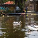 MEX_CDMX_Xochimilco_2019MAR29_Trajineras_023.jpg