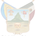 Hidalgo