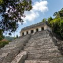 MEX CHP Palenque 2019APR06 ZonaArqueologica 020 : - DATE, - PLACES, - TRIPS, 10's, 2019, 2019 - Taco's & Toucan's, Americas, April, Chiapas, Day, Mexico, Month, North America, Palenque, Saturday, South Pacific Coast, Year, Zona Arqueológica Palenque
