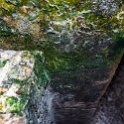 MEX CHP Palenque 2019APR06 ZonaArqueologica 028 : - DATE, - PLACES, - TRIPS, 10's, 2019, 2019 - Taco's & Toucan's, Americas, April, Chiapas, Day, Mexico, Month, North America, Palenque, Saturday, South Pacific Coast, Year, Zona Arqueológica Palenque