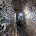MEX CHP Palenque 2019APR06 ZonaArqueologica 029 : - DATE, - PLACES, - TRIPS, 10's, 2019, 2019 - Taco's & Toucan's, Americas, April, Chiapas, Day, Mexico, Month, North America, Palenque, Saturday, South Pacific Coast, Year, Zona Arqueológica Palenque