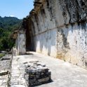 MEX CHP Palenque 2019APR06 ZonaArqueologica 046 : - DATE, - PLACES, - TRIPS, 10's, 2019, 2019 - Taco's & Toucan's, Americas, April, Chiapas, Day, Mexico, Month, North America, Palenque, Saturday, South Pacific Coast, Year, Zona Arqueológica Palenque