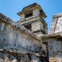 MEX CHP Palenque 2019APR06 ZonaArqueologica 065 : - DATE, - PLACES, - TRIPS, 10's, 2019, 2019 - Taco's & Toucan's, Americas, April, Chiapas, Day, Mexico, Month, North America, Palenque, Saturday, South Pacific Coast, Year, Zona Arqueológica Palenque