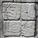 MEX CHP Palenque 2019APR06 ZonaArqueologica 069 : - DATE, - PLACES, - TRIPS, 10's, 2019, 2019 - Taco's & Toucan's, Americas, April, Chiapas, Day, Mexico, Month, North America, Palenque, Saturday, South Pacific Coast, Year, Zona Arqueológica Palenque