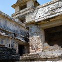 MEX CHP Palenque 2019APR06 ZonaArqueologica 070 : - DATE, - PLACES, - TRIPS, 10's, 2019, 2019 - Taco's & Toucan's, Americas, April, Chiapas, Day, Mexico, Month, North America, Palenque, Saturday, South Pacific Coast, Year, Zona Arqueológica Palenque