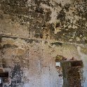 MEX CHP Palenque 2019APR06 ZonaArqueologica 072 : - DATE, - PLACES, - TRIPS, 10's, 2019, 2019 - Taco's & Toucan's, Americas, April, Chiapas, Day, Mexico, Month, North America, Palenque, Saturday, South Pacific Coast, Year, Zona Arqueológica Palenque