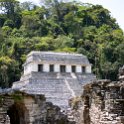 MEX CHP Palenque 2019APR06 ZonaArqueologica 075 : - DATE, - PLACES, - TRIPS, 10's, 2019, 2019 - Taco's & Toucan's, Americas, April, Chiapas, Day, Mexico, Month, North America, Palenque, Saturday, South Pacific Coast, Year, Zona Arqueológica Palenque