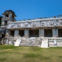 MEX CHP Palenque 2019APR06 ZonaArqueologica 078 : - DATE, - PLACES, - TRIPS, 10's, 2019, 2019 - Taco's & Toucan's, Americas, April, Chiapas, Day, Mexico, Month, North America, Palenque, Saturday, South Pacific Coast, Year, Zona Arqueológica Palenque