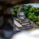 MEX CHP Palenque 2019APR06 ZonaArqueologica 089 : - DATE, - PLACES, - TRIPS, 10's, 2019, 2019 - Taco's & Toucan's, Americas, April, Chiapas, Day, Mexico, Month, North America, Palenque, Saturday, South Pacific Coast, Year, Zona Arqueológica Palenque