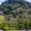 MEX CHP Palenque 2019APR06 ZonaArqueologica 091 : - DATE, - PLACES, - TRIPS, 10's, 2019, 2019 - Taco's & Toucan's, Americas, April, Chiapas, Day, Mexico, Month, North America, Palenque, Saturday, South Pacific Coast, Year, Zona Arqueológica Palenque